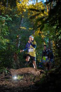 BIB: 
                            <button type="button" onclick="openModal(19236229)" class="btn btn-primary btn-sm float-right btn-popup" data-toggle="modal" data-target=".modal-high-quality">
                        <i class="fas fa-shopping-cart"></i> Add to Cart
                    </button>
                                            <button type="button" onclick="isThisMe(19236229, true)" class="btn btn-success btn-sm float-right btn-popup btn-isme hidden" data-toggle="tooltip" data-placement="bottom" title="นี่คือรูปของคุณใช่ไหม คลิกที่นี่เพื่อเอาเข้าอัลบั้ม">
                        <i class="fas fa-plus"></i> Add to album
                    </button>
                    <button type="button" onclick="isThisMe(19236229, false)" class="btn btn-warning btn-sm float-right btn-popup btn-isnotme hidden">
                        <i class="fas fa-ban"></i> Remove from album
                    </button>